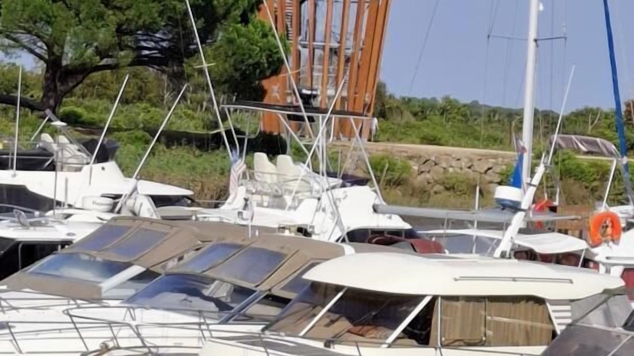 Photo of Others in Le Teich