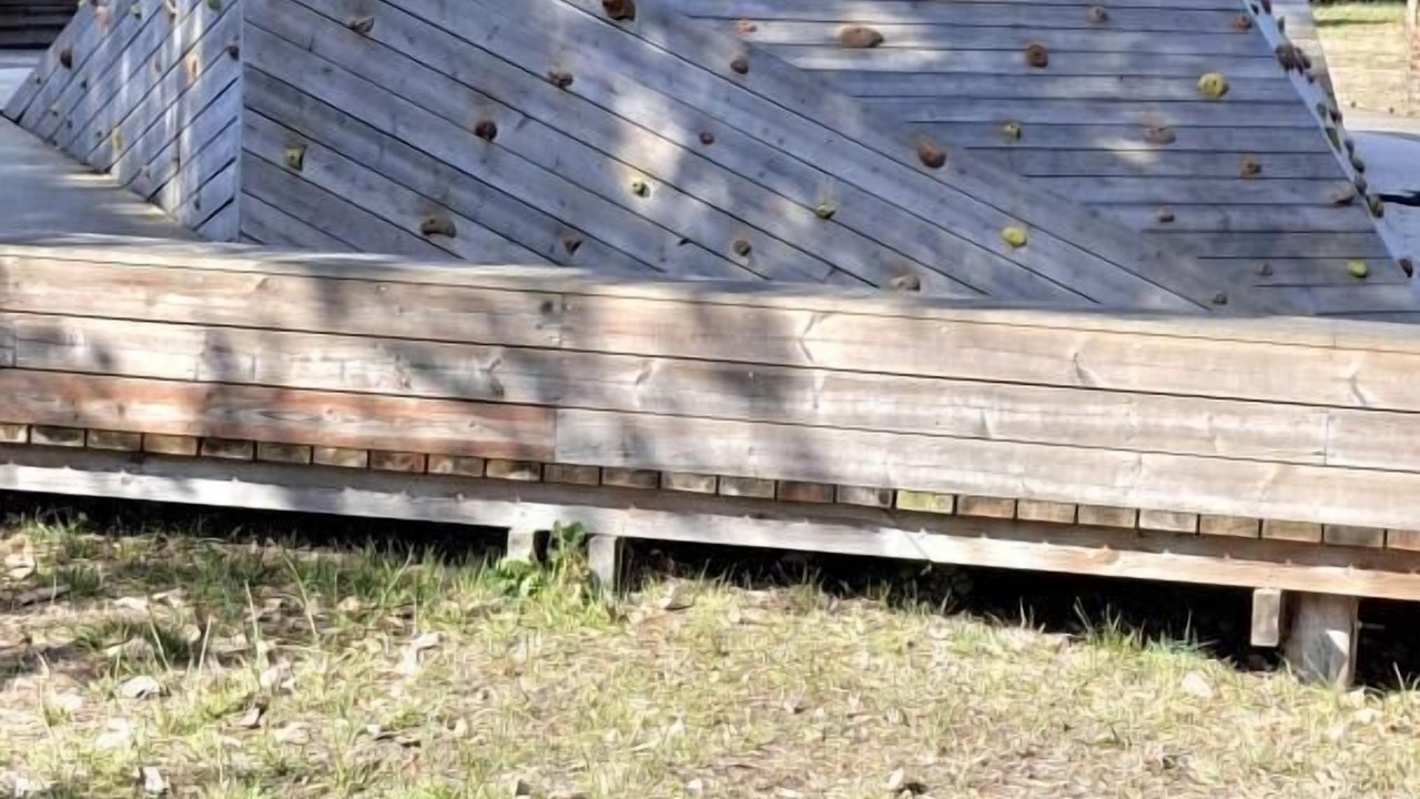 Photo of Others in Le Teich