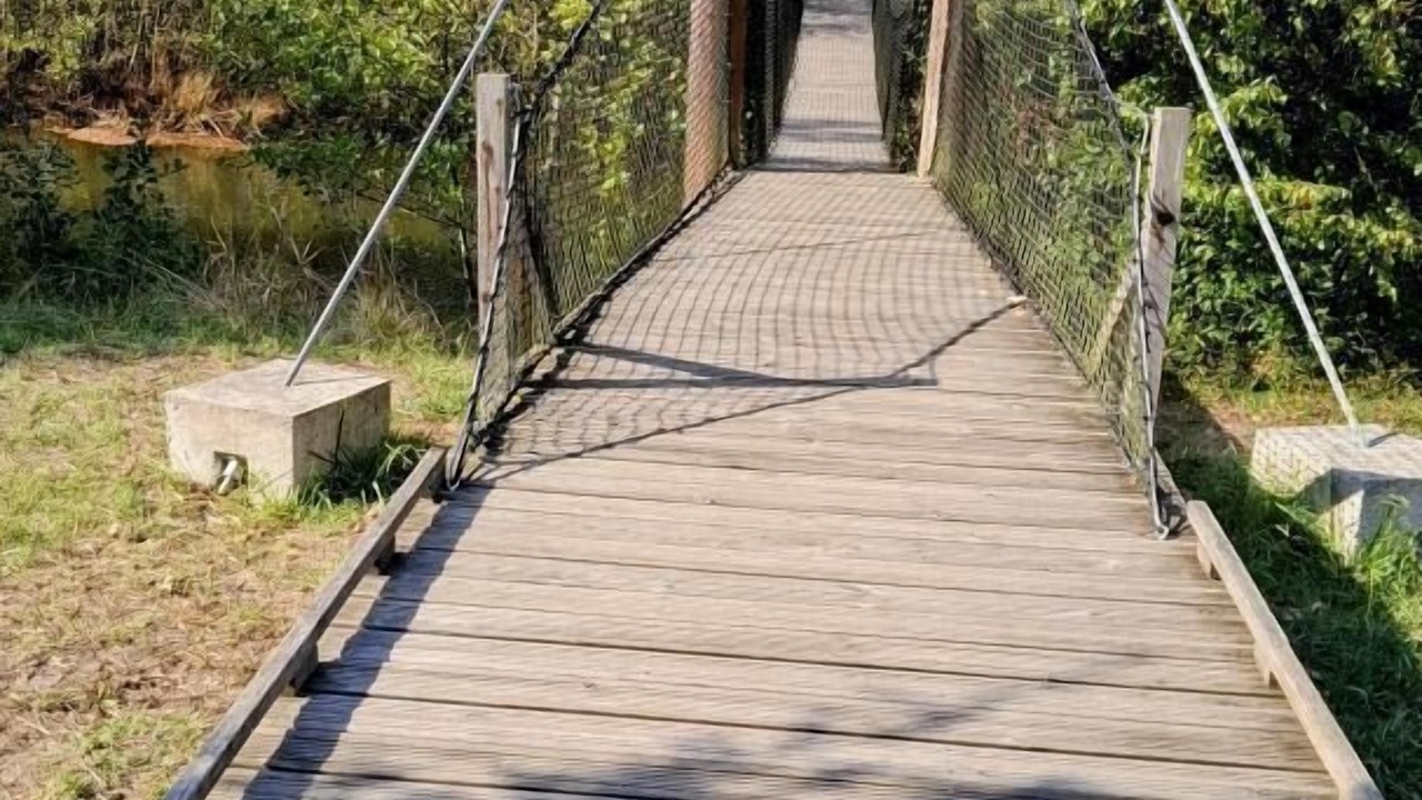 Photo of Outdoor in Le Teich