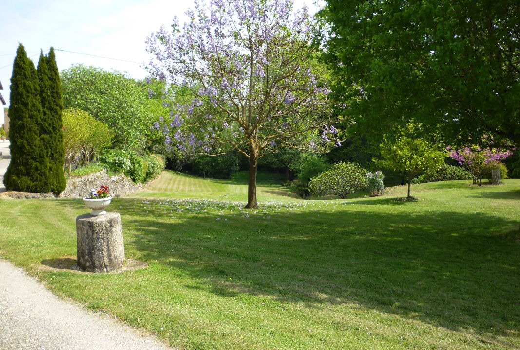 Photo of Outdoor in Faleyras