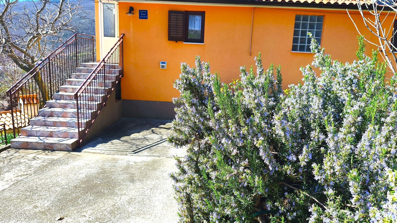Photo of Outdoor in Golovik