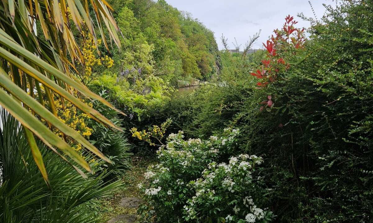 Photo of Outdoor in Dinan Agglomeration