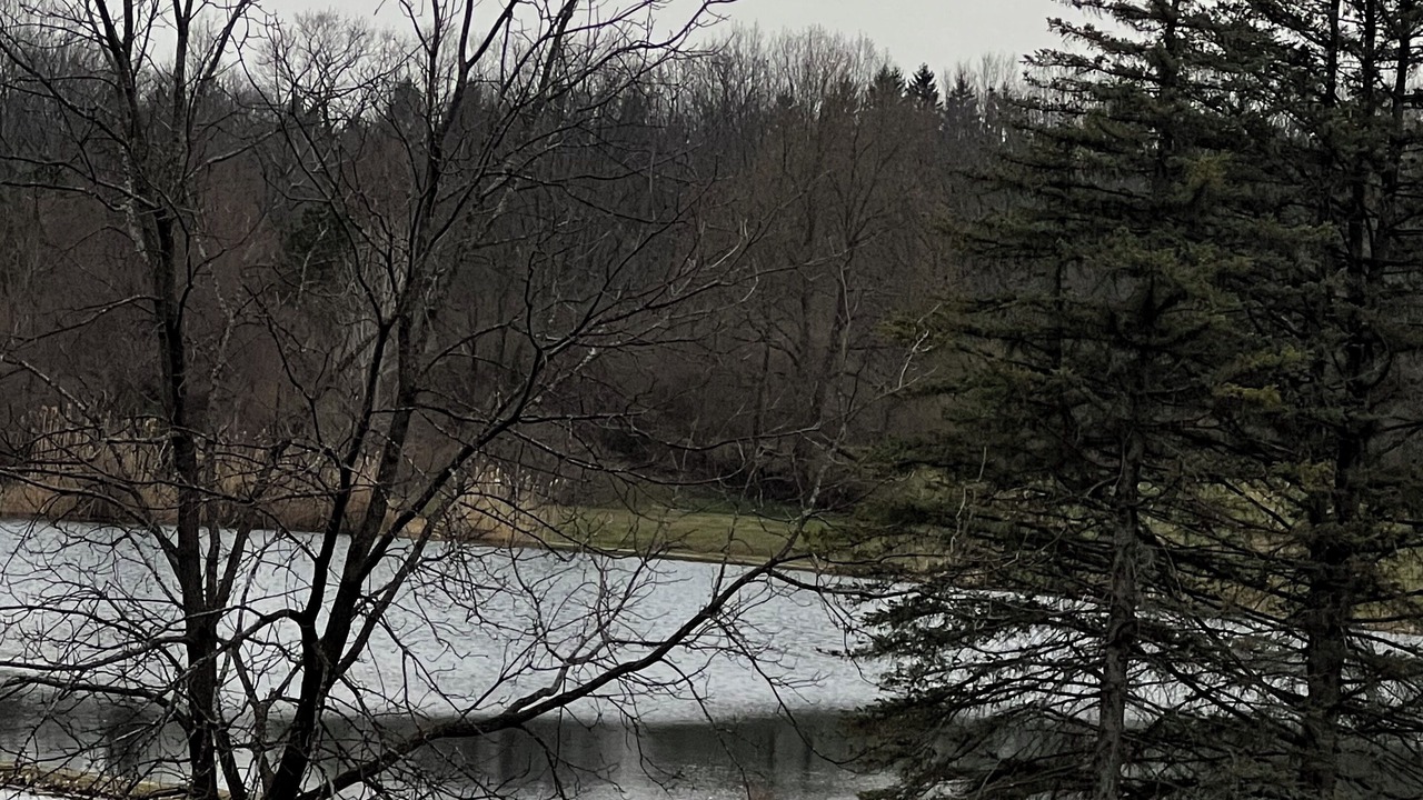Photo of Others in Grand Blanc