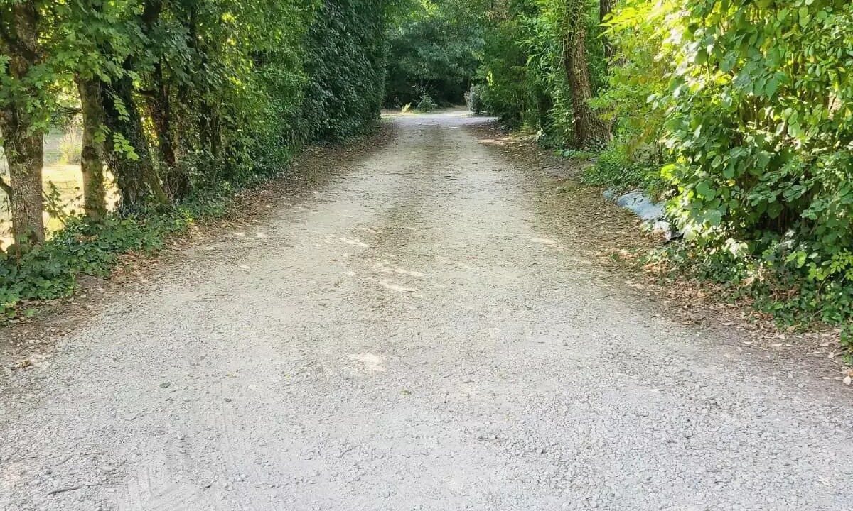 Photo of Others in Commequiers