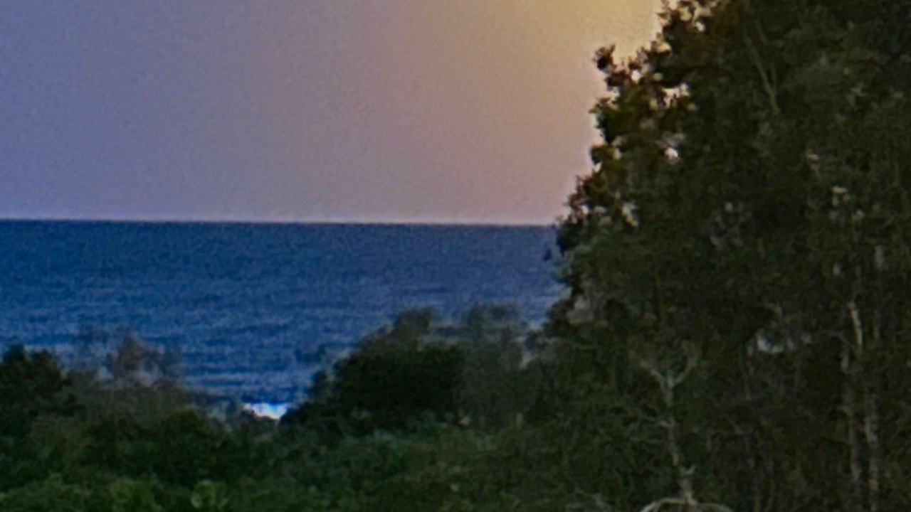 Photo of Others in Sunshine Coast