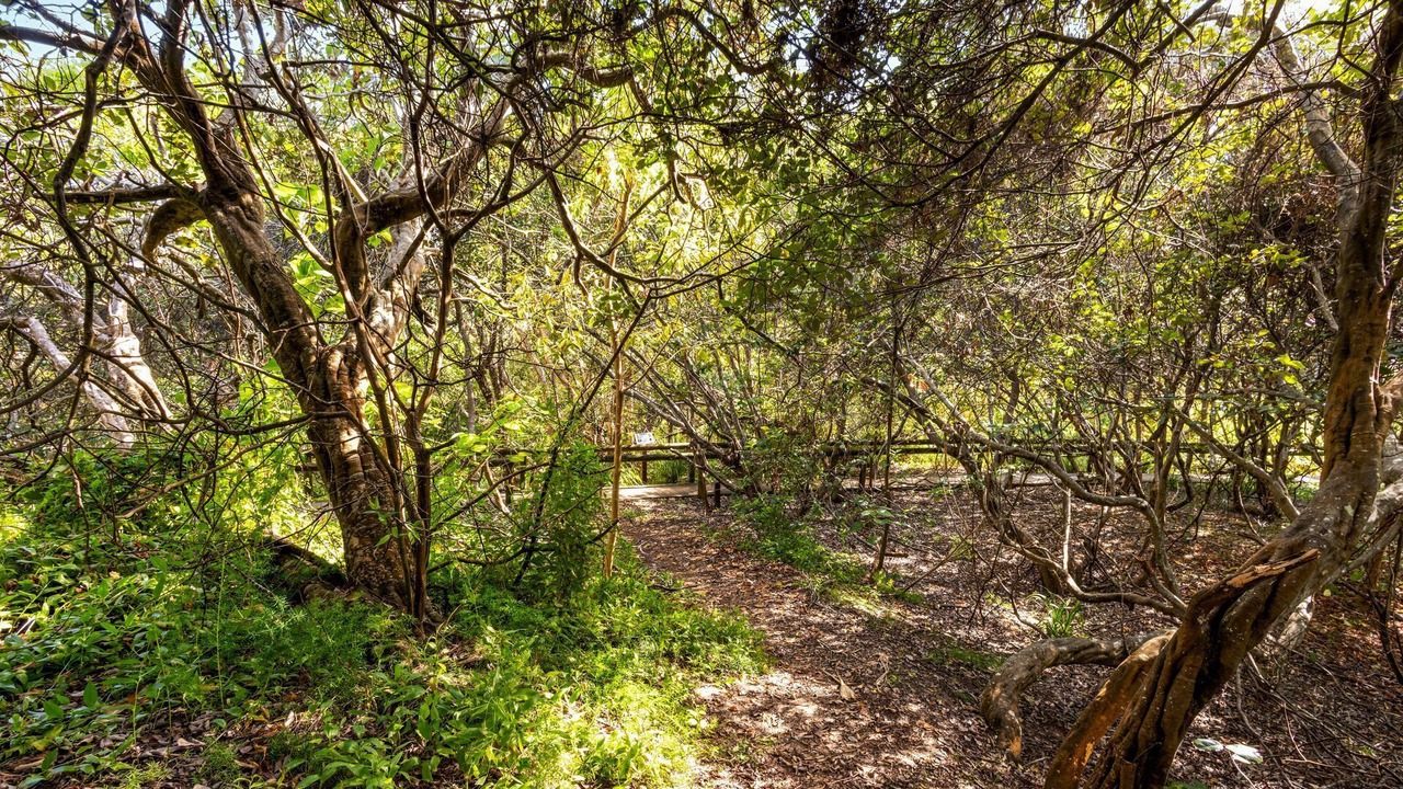 Photo of Others in Sunshine Coast