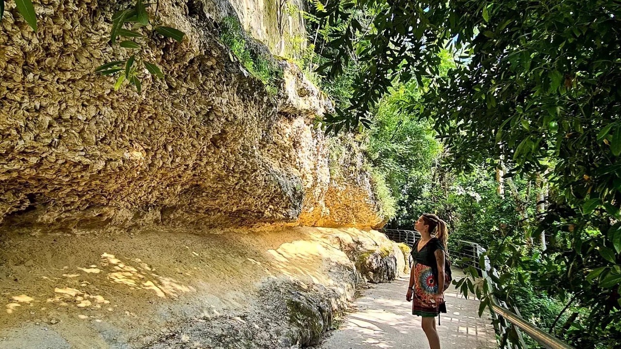 Photo of Others in Sadirac