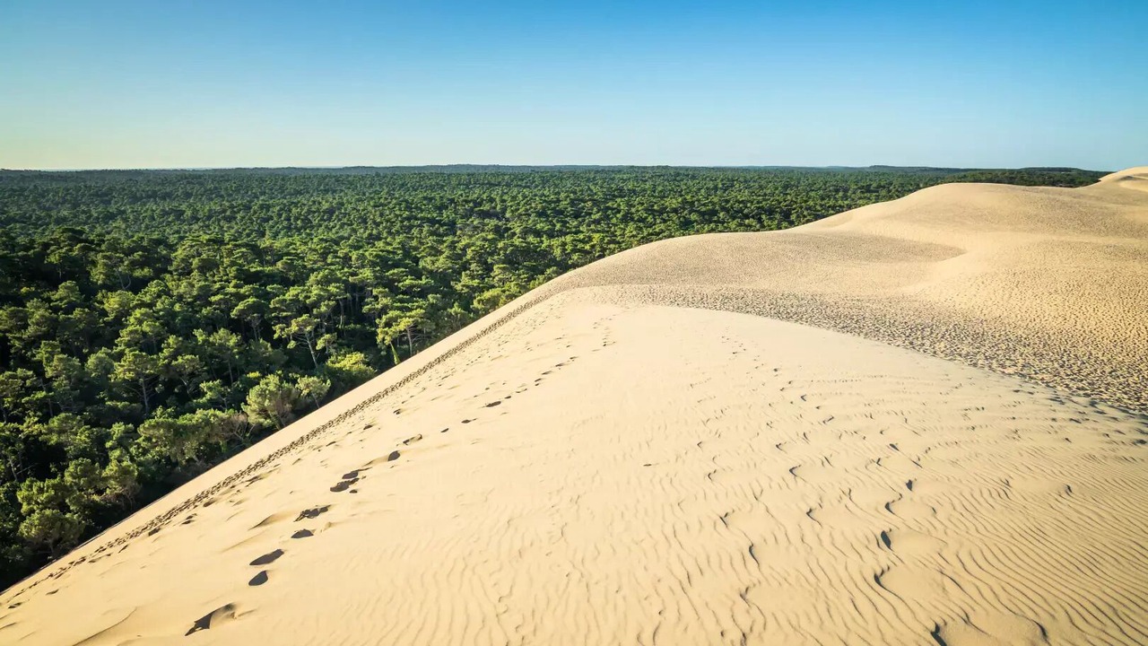 Photo of Others in Sadirac