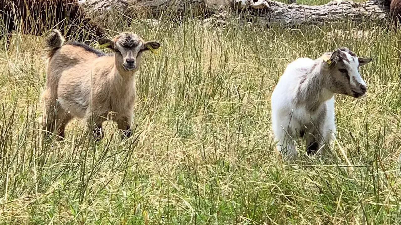 Photo of Others in Sadirac