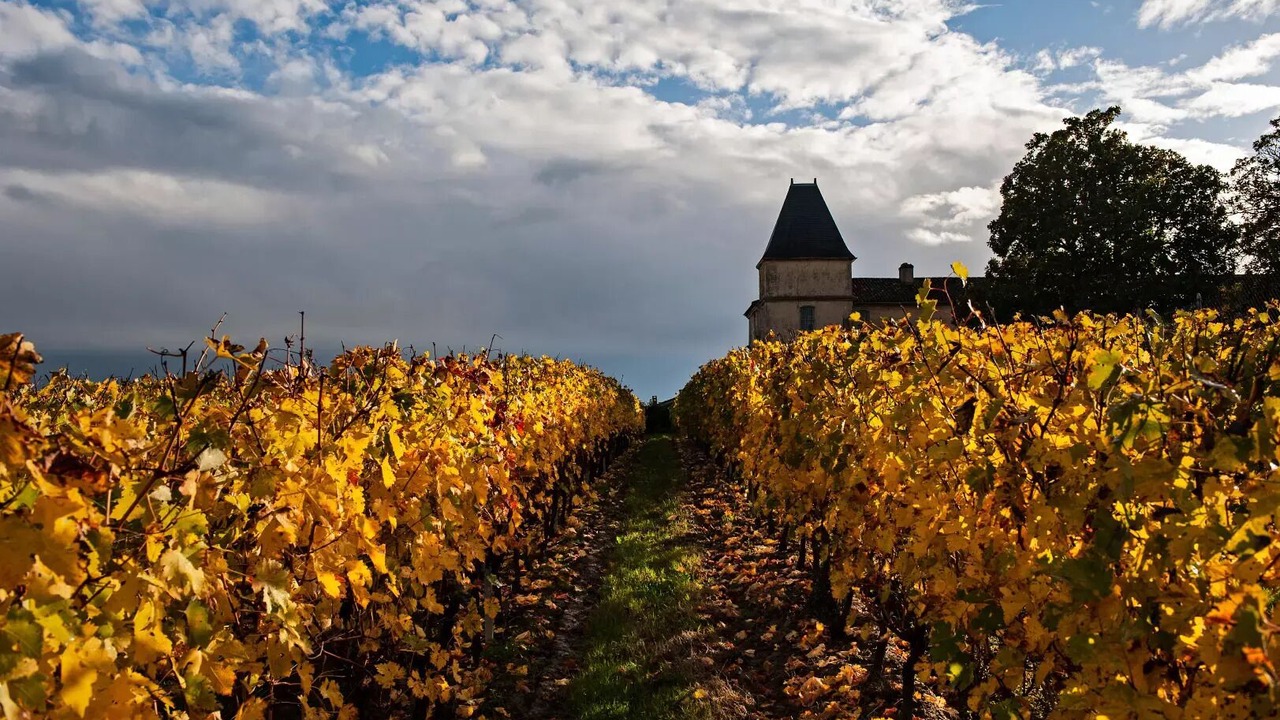 Photo of Others in Sadirac