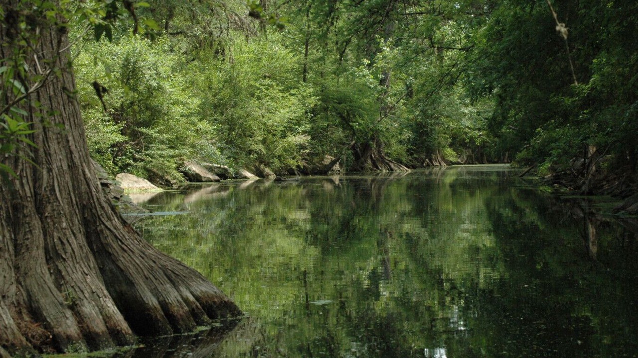 Photo of Others in Boerne
