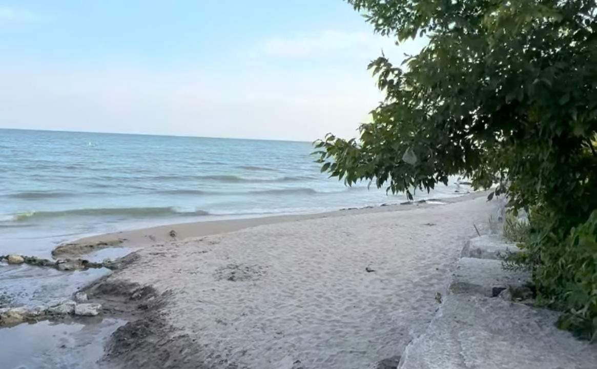 Photo of Others in Lakeview
