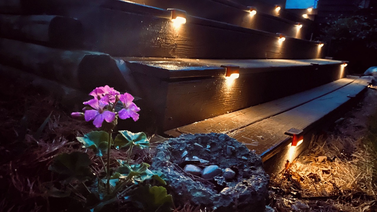 Photo of Outdoor in Rapid City