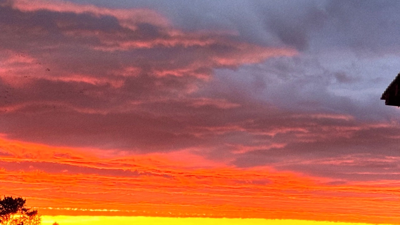 Photo of Others in Birds Landing