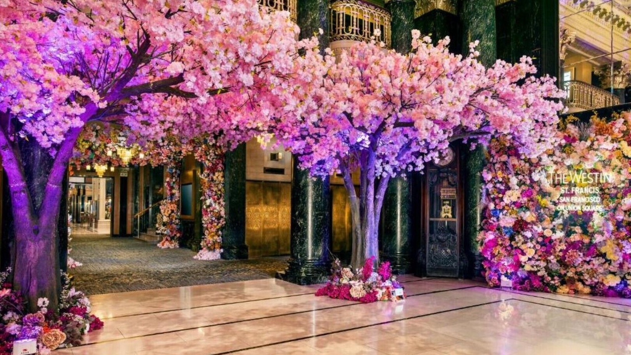 Photo of Outdoor in Chinatown