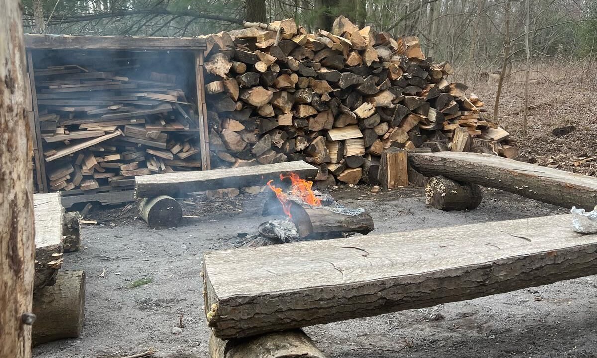 Photo of Others in Langton
