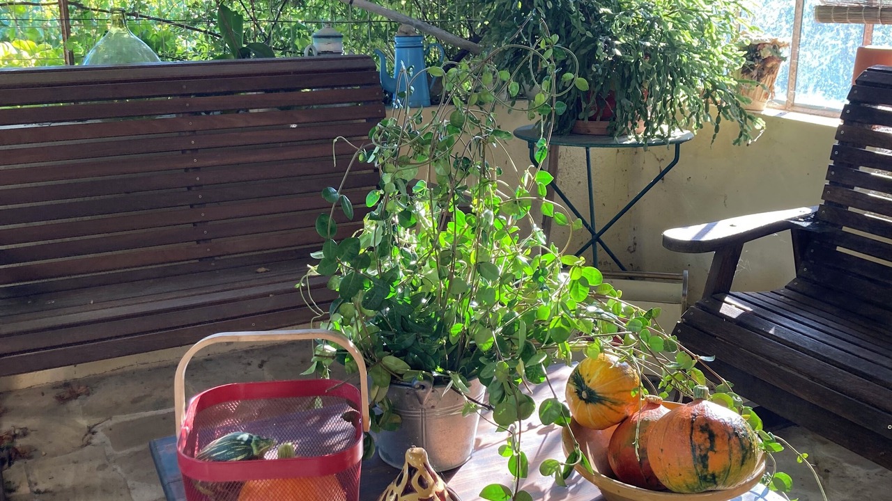 Photo of Patio Balcony in Saint-Paul-Trois-Chateaux