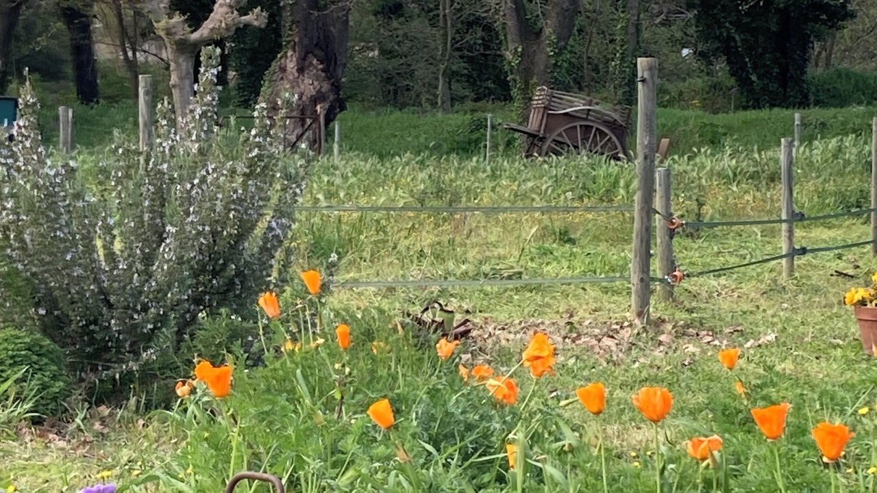 Photo of Outdoor in Saint-Paul-Trois-Chateaux