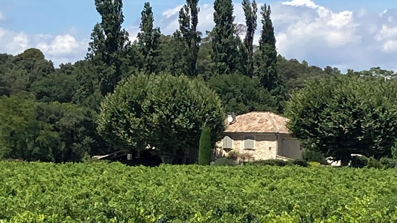 Photo of Others in Saint-Paul-Trois-Chateaux