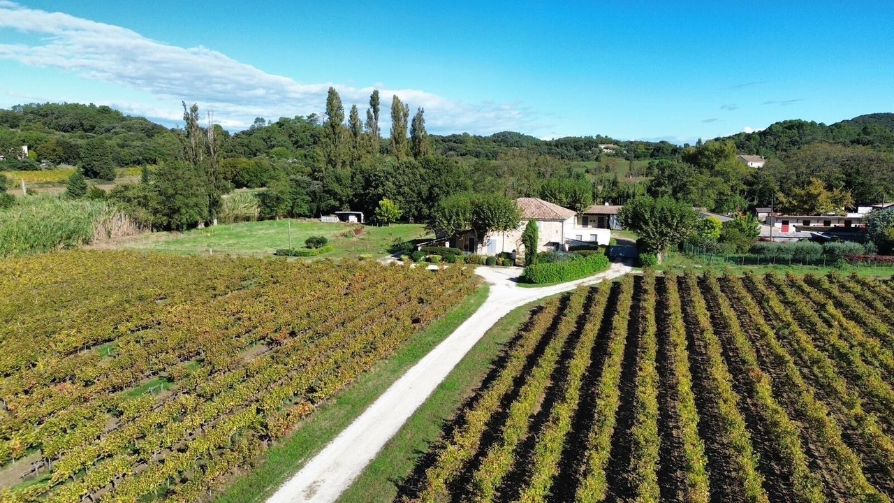 Photo of Others in Saint-Paul-Trois-Chateaux