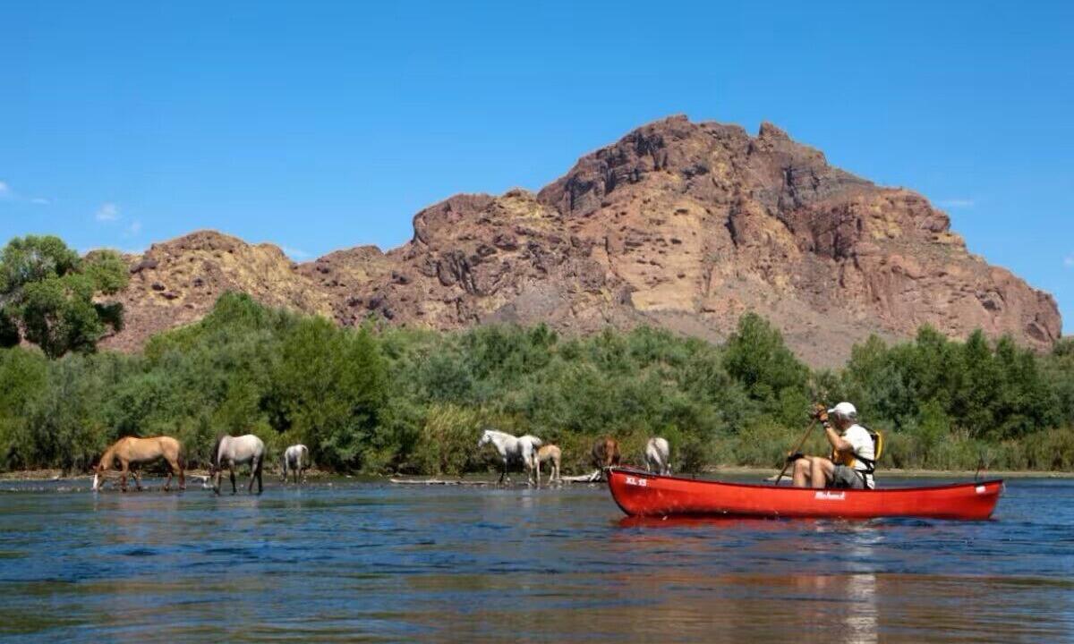 Photo of Others in East Mesa