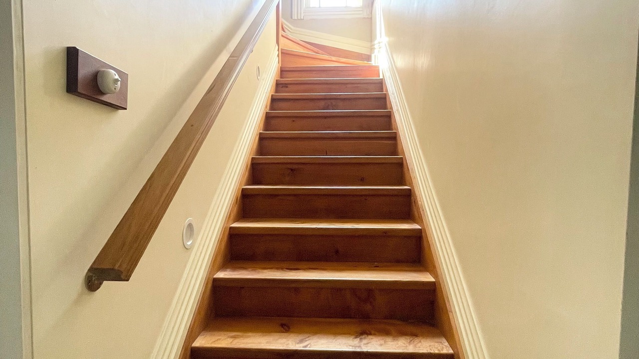 Photo of Others in Bluff Hill