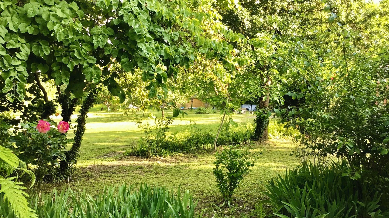 Photo of Outdoor in Lectoure
