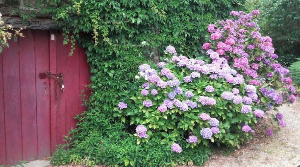 Photo of Outdoor in Tremblay