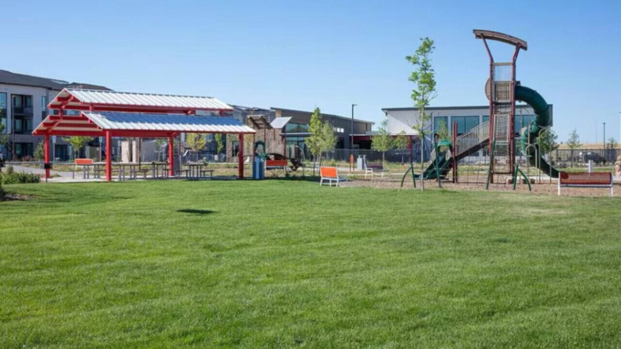 Photo of Others in Aurora