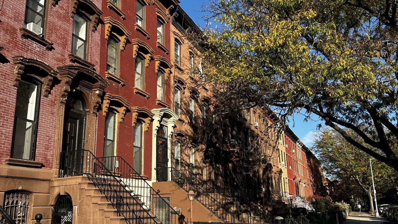 Photo of Others in Bedford-Stuyvesant