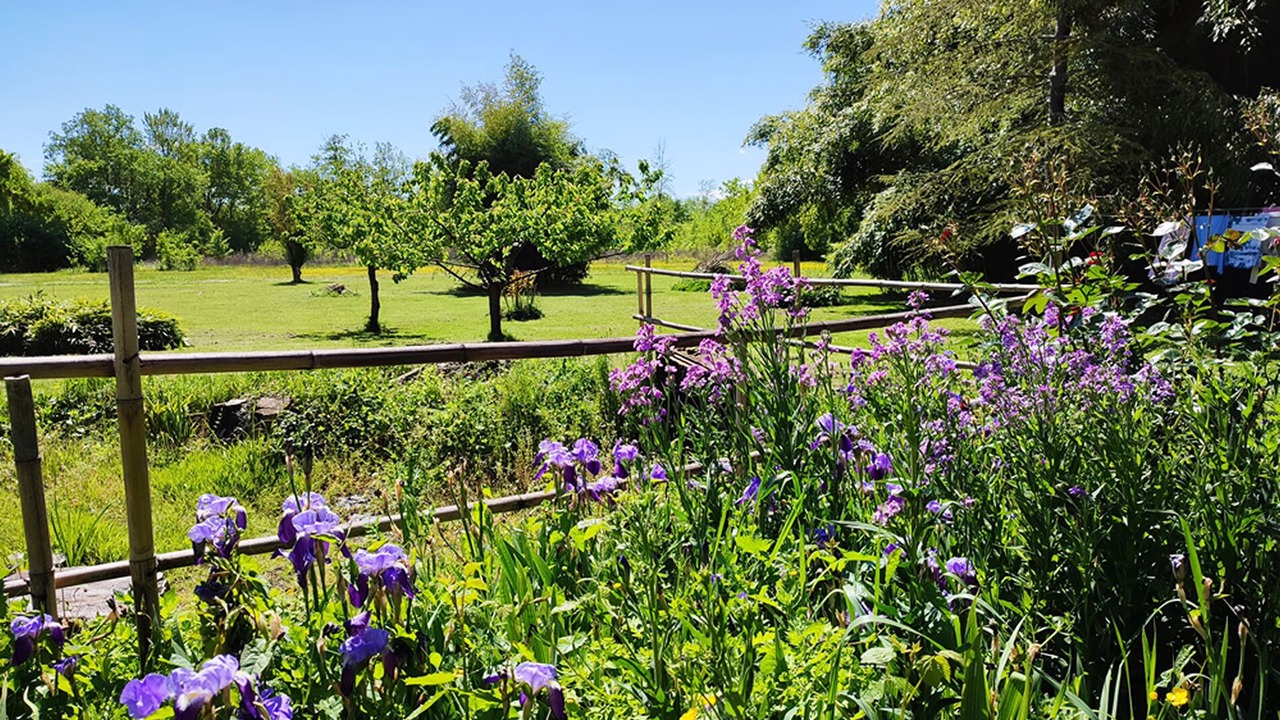 Photo of Outdoor in Lauzerte