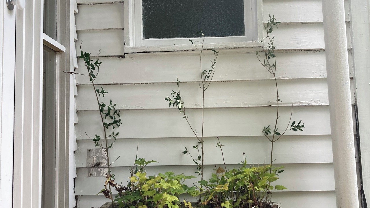 Photo of Outdoor in Sherbrooke