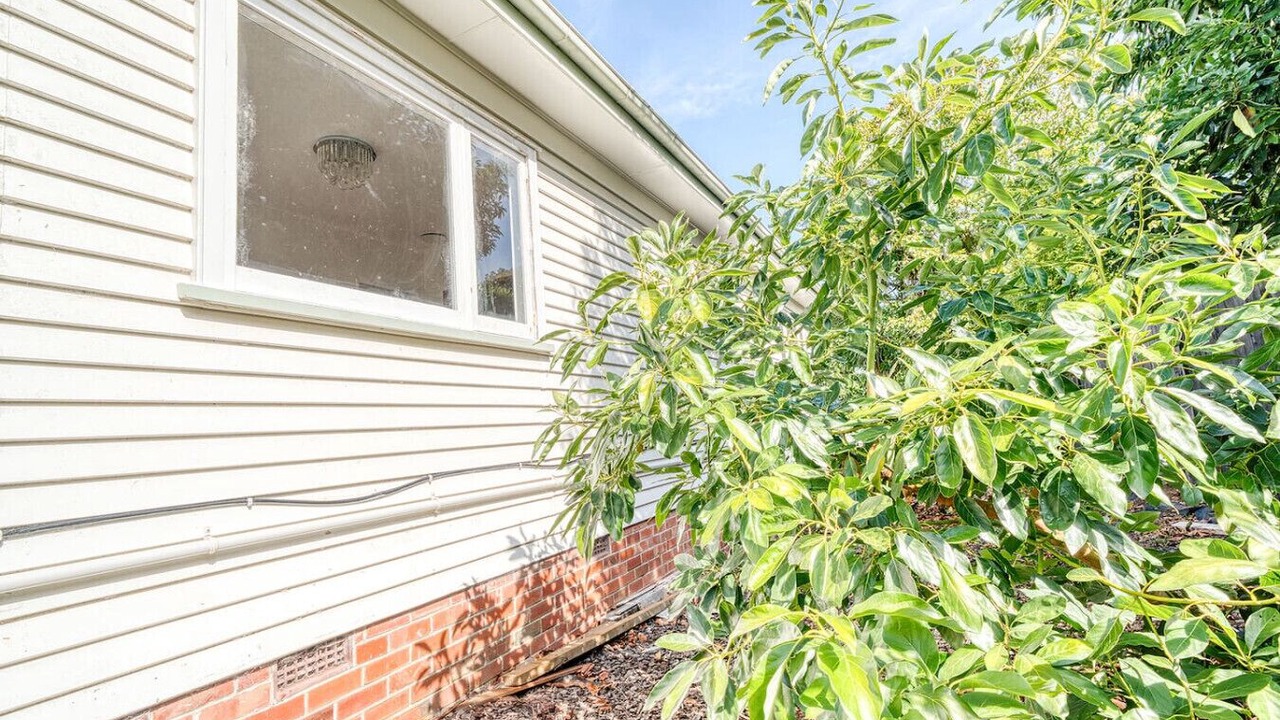 Photo of Others in Epsom