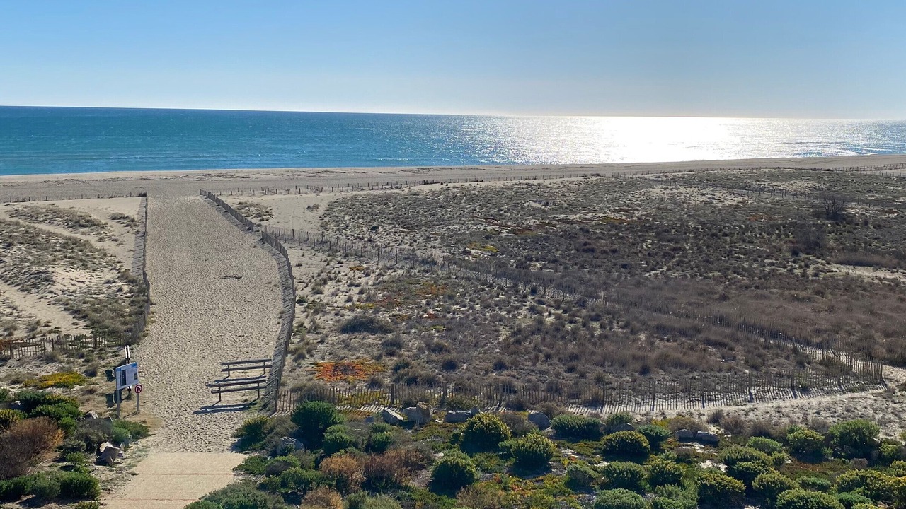 Photo of Others in Port Leucate
