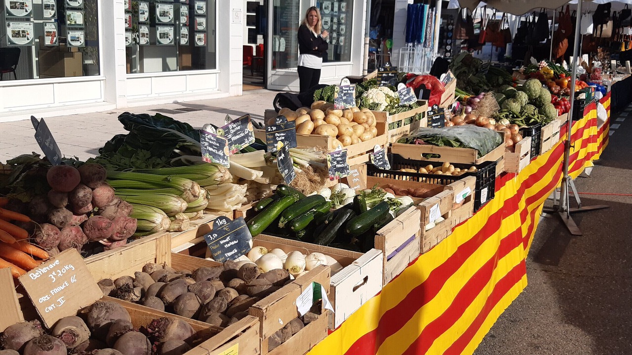 Photo of Others in Port Leucate