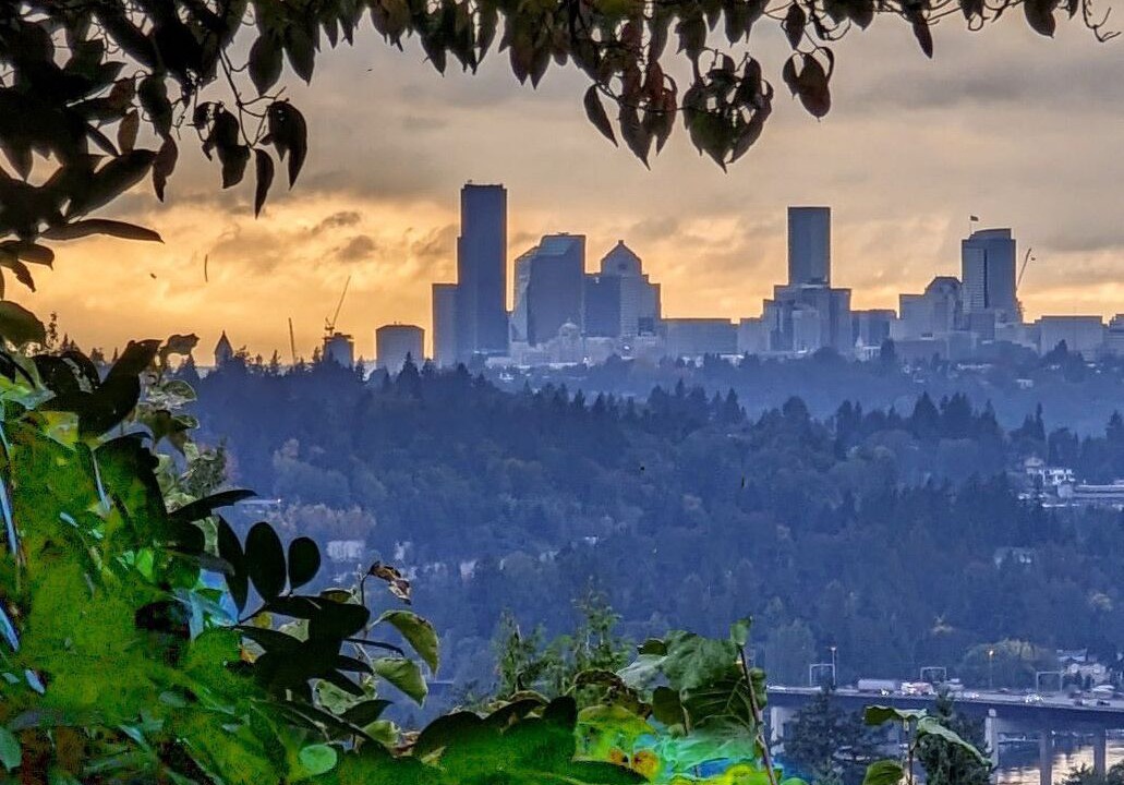 Photo of Others in Somerset