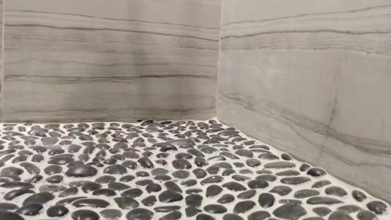 Photo of Others in Somerset