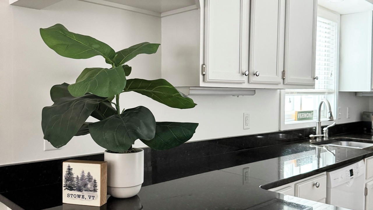 Photo of Kitchen in Stowe Area