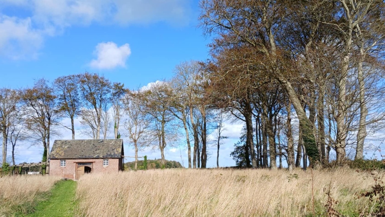 Photo of Outdoor in Malleville-les-Gres