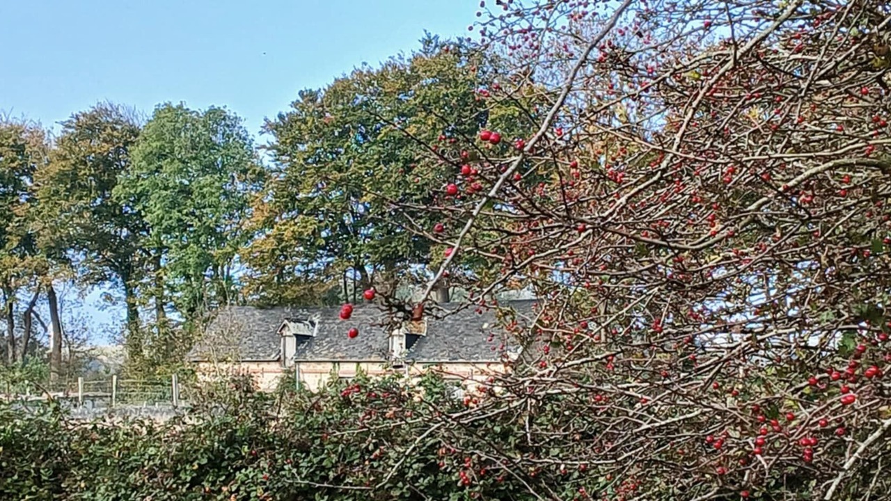 Photo of Others in Malleville-les-Gres