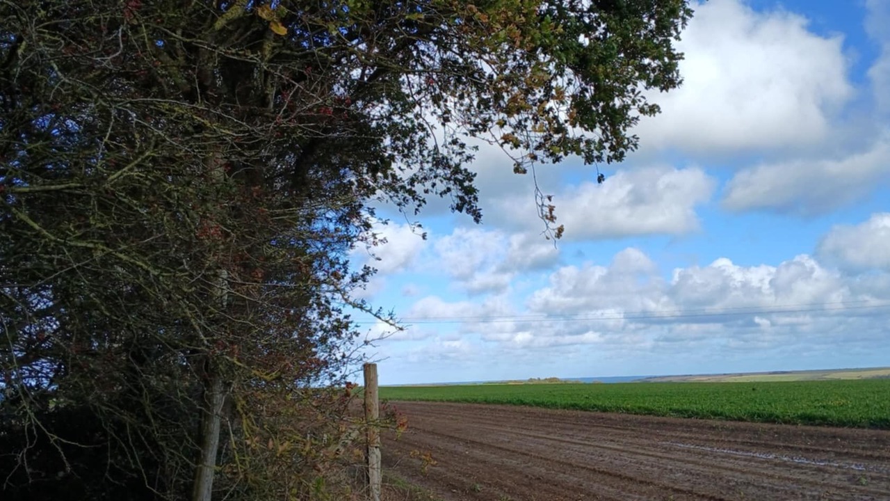 Photo of Others in Malleville-les-Gres