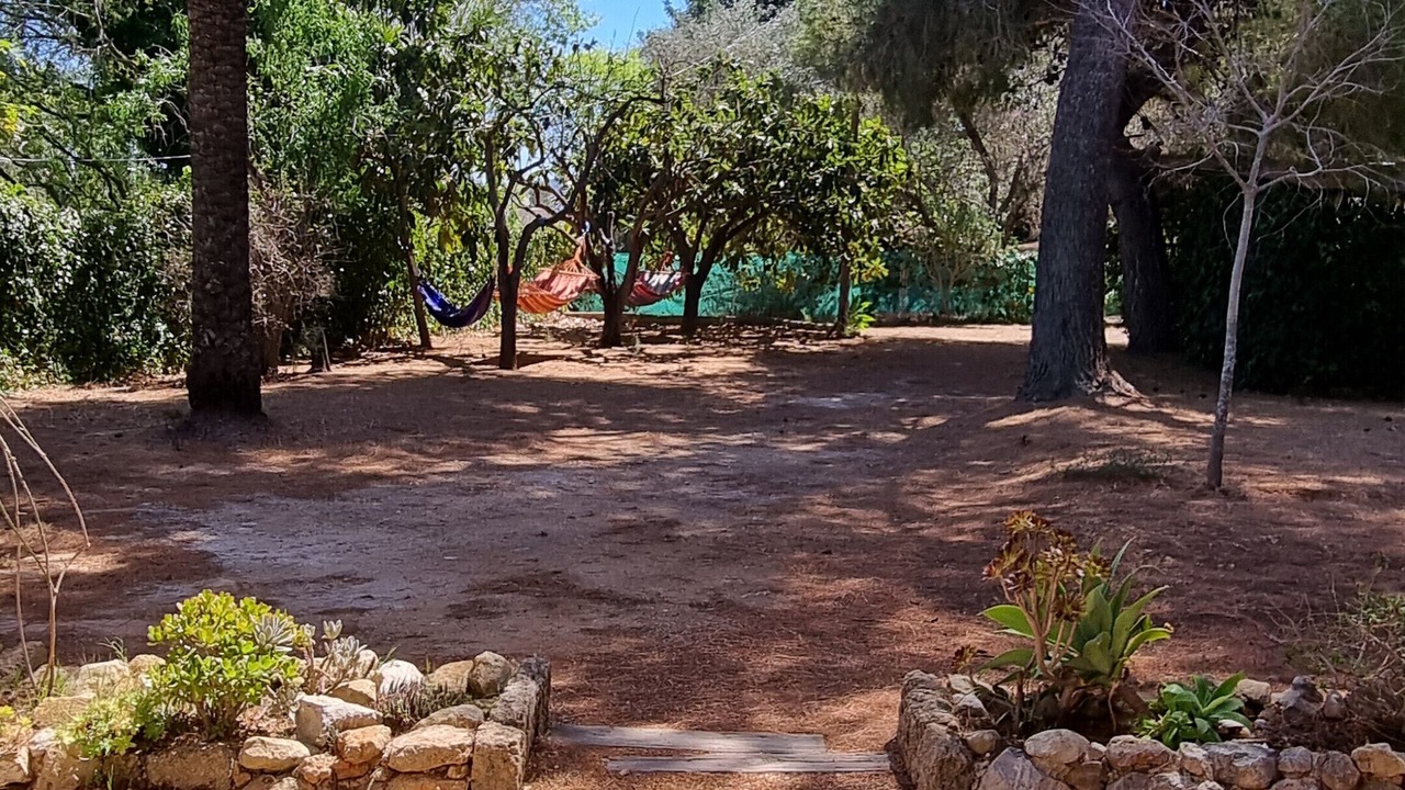 Photo of Outdoor in Beniarbeig