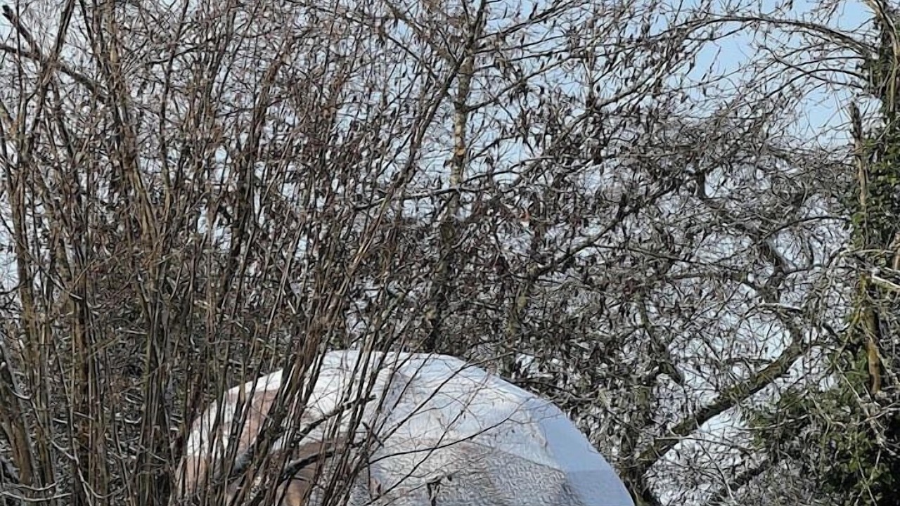 Photo of Others in Nanteuil-les-Meaux