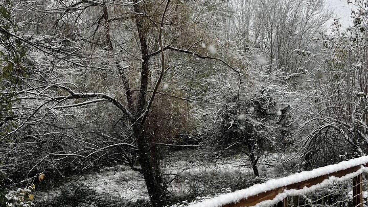 Photo of Outdoor in Nanteuil-les-Meaux