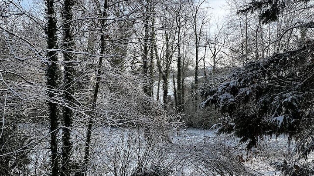 Photo of Others in Nanteuil-les-Meaux