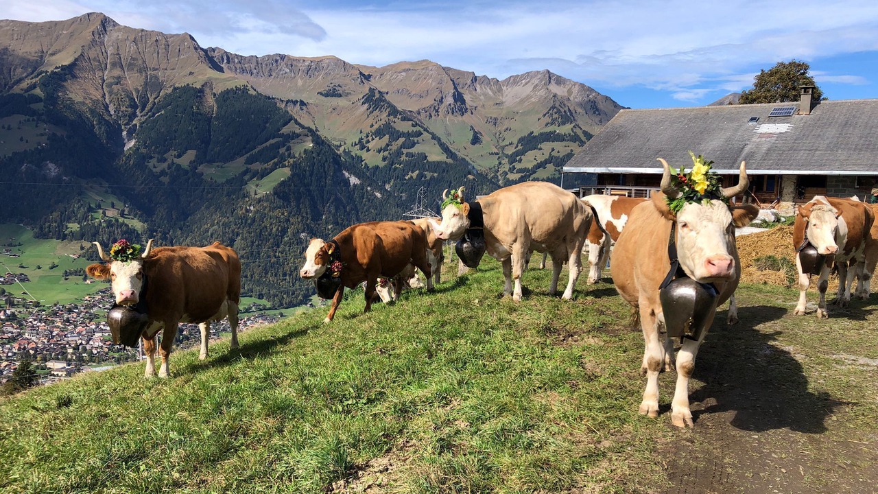 Photo of Others in Frutigen