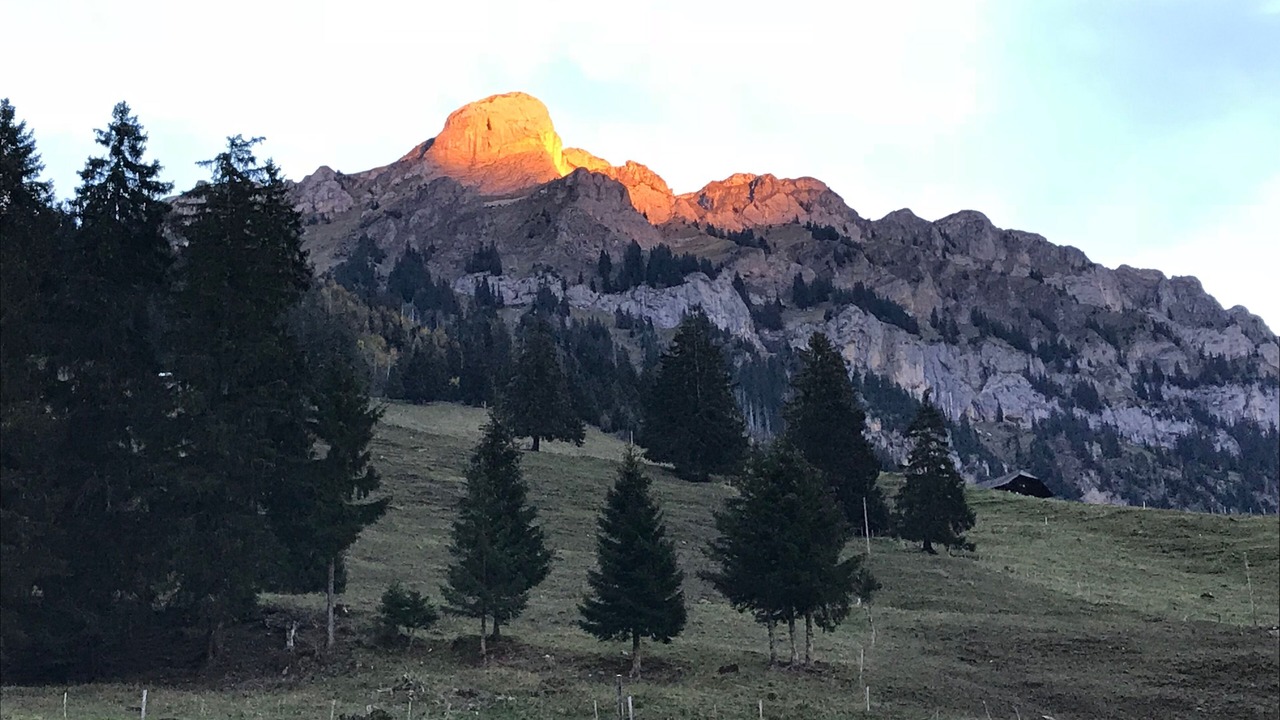 Photo of Others in Frutigen