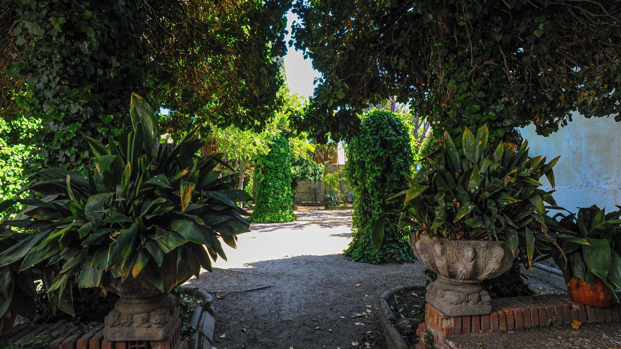 Photo of Outdoor in Torrejon de Velasco