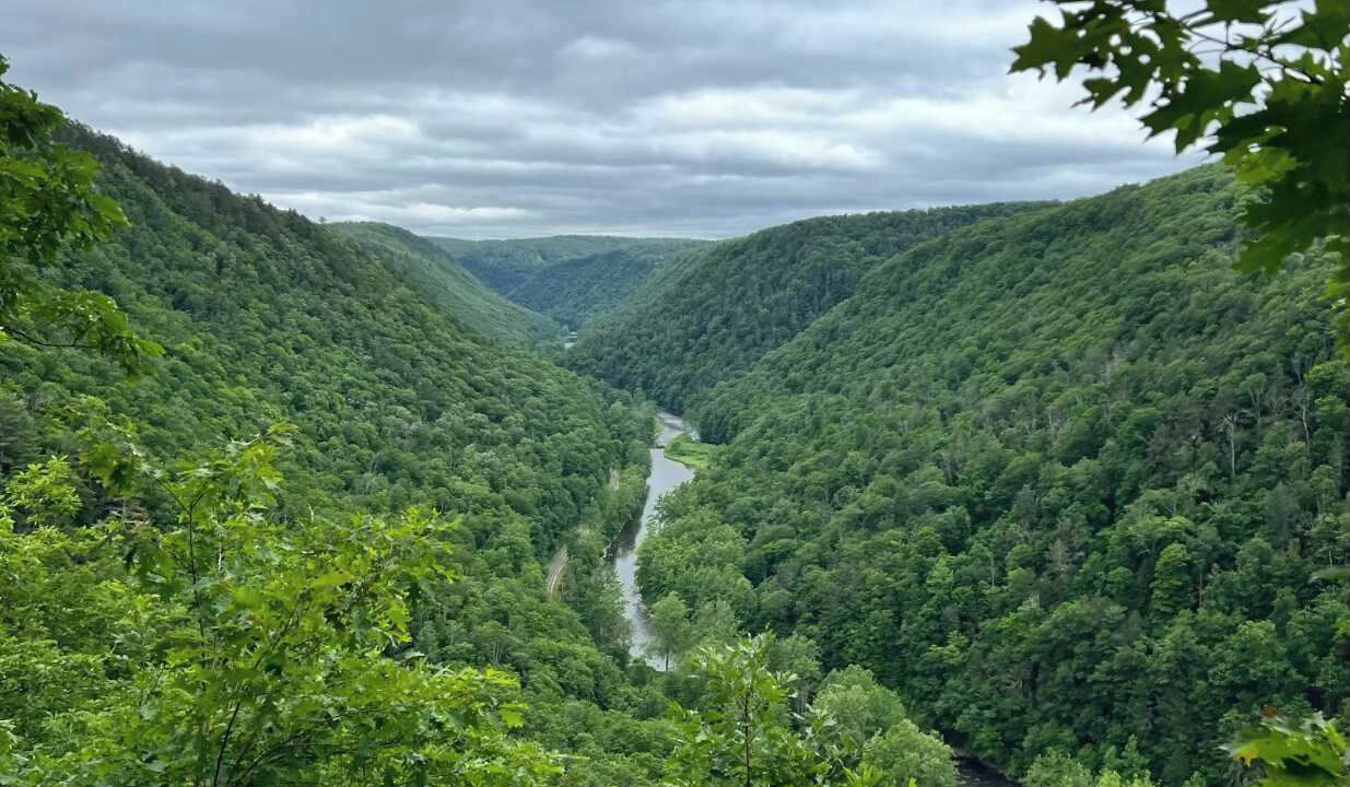 Photo of Others in Wellsboro