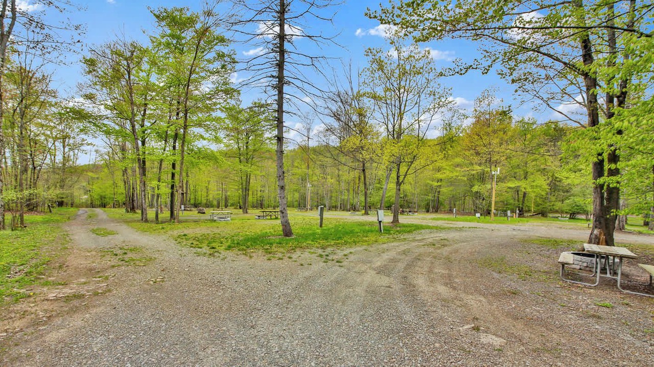 Photo of Others in Wellsboro